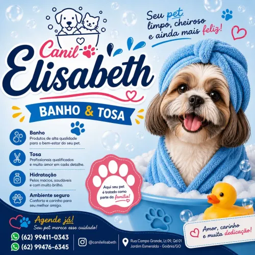 Banho e tosa 