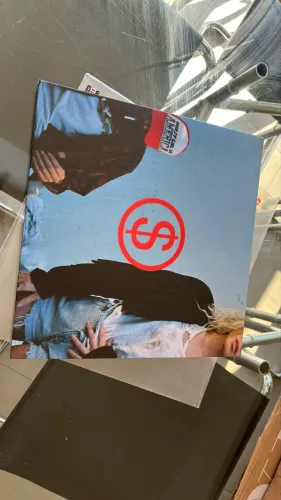 Vinil slayyyter - worst girl in america