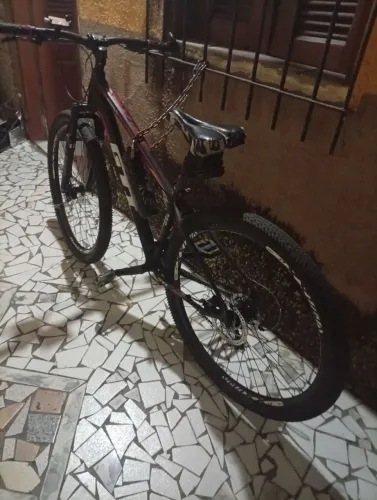 Bicicleta