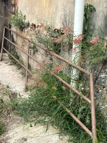 JANELA VENEZIANA E PORTA DE MADEIRA