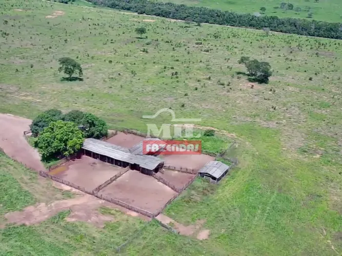 Fazenda 1.446 alqueires ( 7.000 hectares ) - Novo São Joaquim - MT