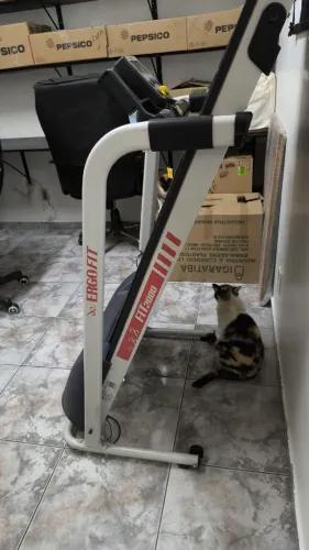Esteira ergométrica ergofit 2000 funcionando perfeitamente em ótimo estado com pouco uso.