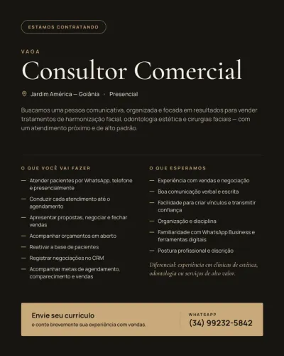 CONSULTOR COMERCIAL INTERNO