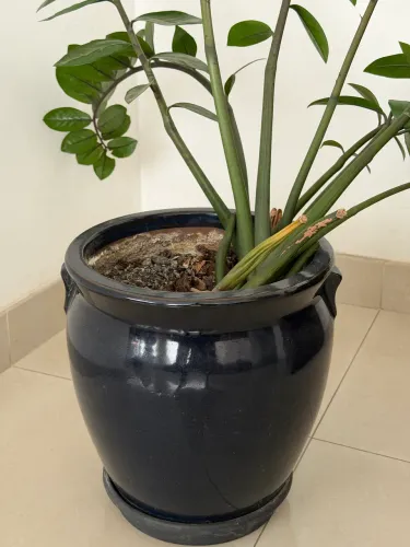 Vaso de planta em cerâmica azul escuro