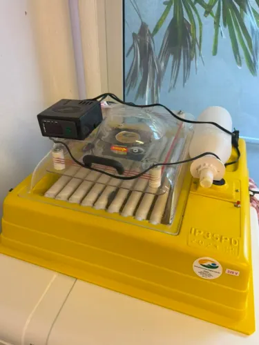 Chocadeira automática