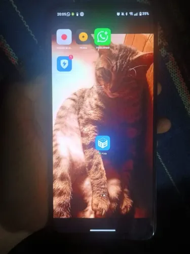 Celular