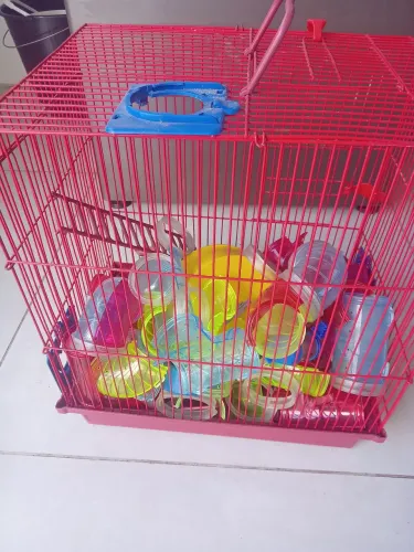 Gaiola para hamster