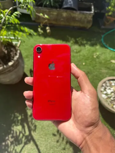 iPhone XR