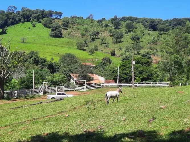 Vendo 3 alqueires e 27 litros no município de Itaguari - Go.