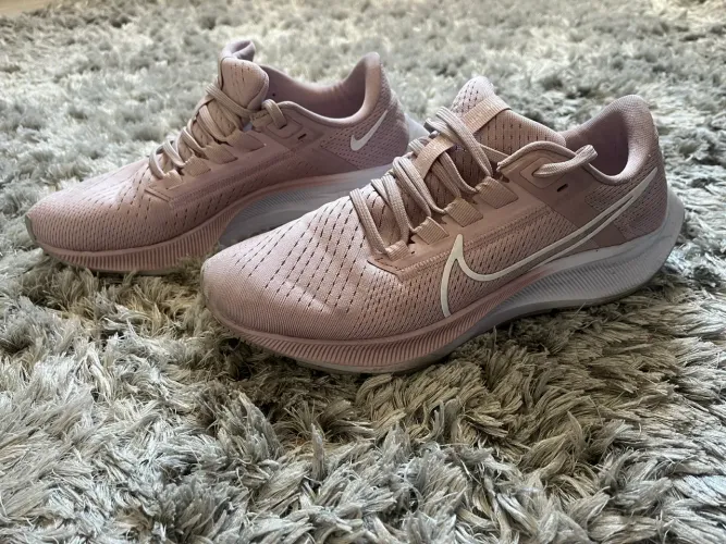 Tenis nike pegasus 