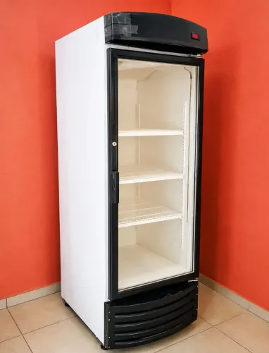 Geladeira Expositora 220V (entrego)