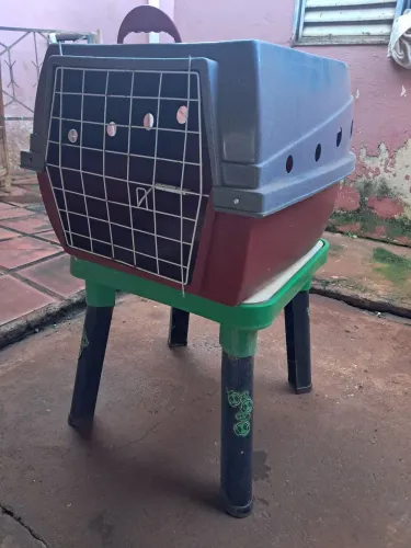 Caixa de transporte para pet