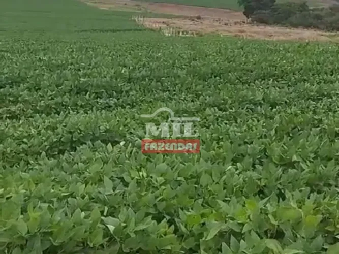 Fazenda 362 alqueires (1.750 hectares) Doverlândia - Go