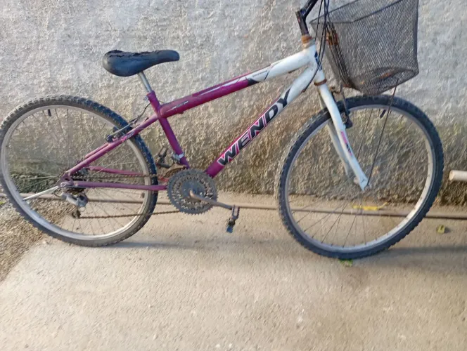 Bicicleta com cestinha