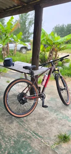 Bicicleta elleven aro 29