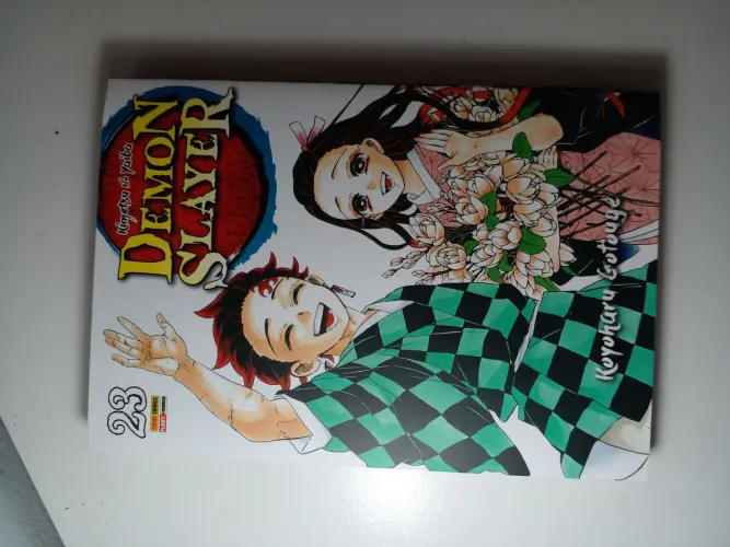 Demon slayer, 20 ao 23