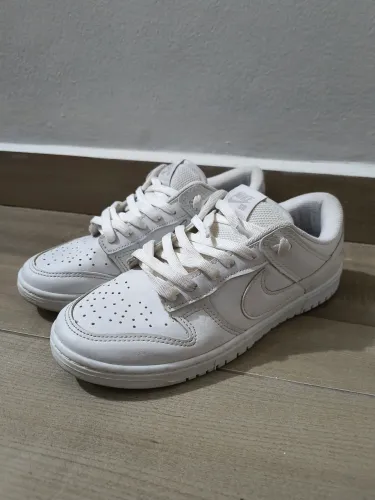 Nike Dunk Sb Pro 41