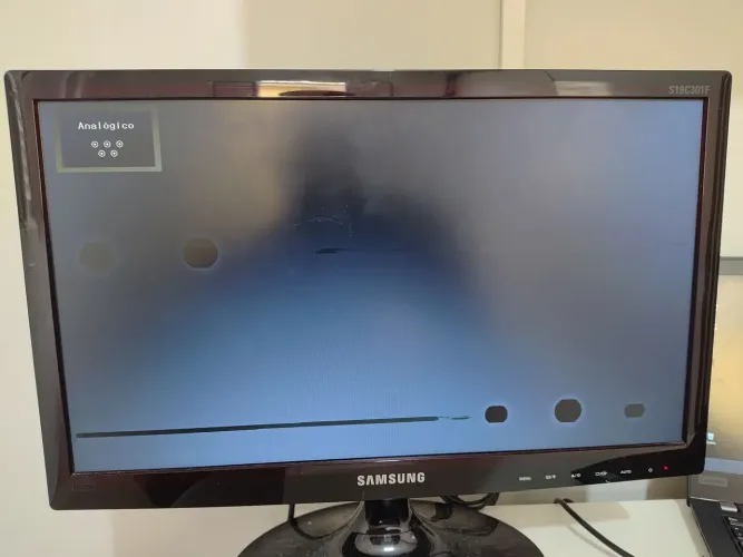 Monitor Samsung 19" -  S19C301F (Display Queimado)