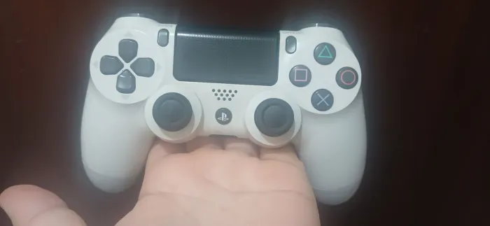 Controle Ps4 original 