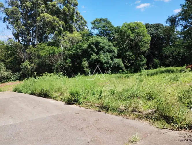 TERRENOS NA VERA CRUZ