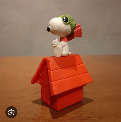 Snoop aviador na casinha