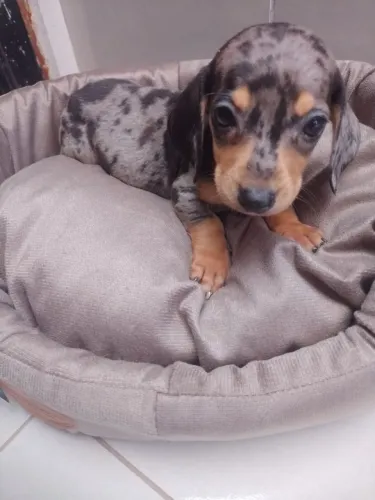 Que linda mocinha e mocinho ?
