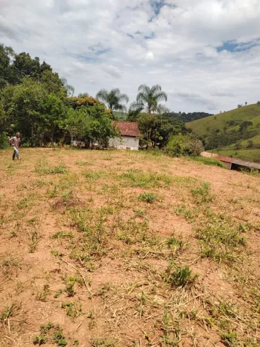 Procuro parceiro para criar galinha