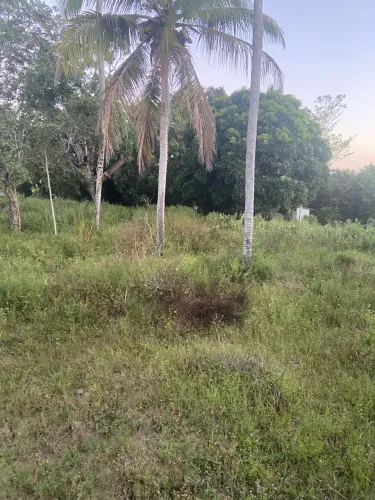 Sítio a venda, casa inclusa com a venda