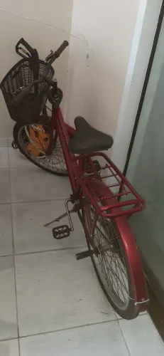Bicicleta calor poti