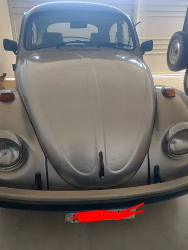 Volkswagen Fusca Fusca (gasolina) 1994