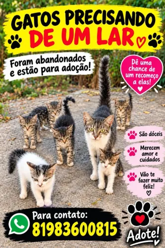 Para Adoção responsável