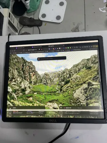 Monitor Dell P1914Sf 19" (sem base) ? defeito parte inferior da tela