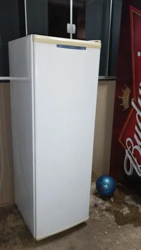 Freezer Vertical