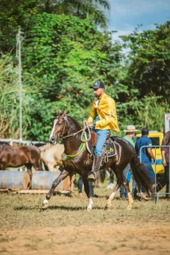 Cavalo marcha batida