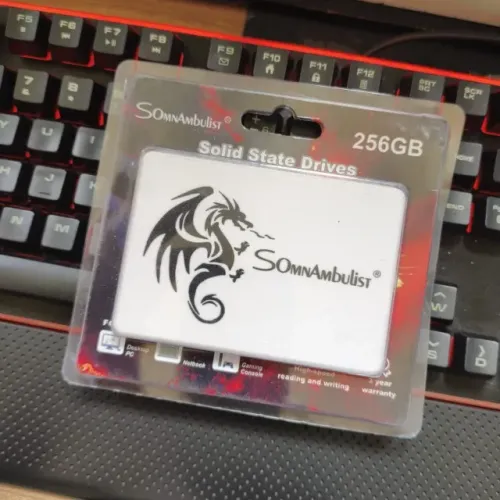 SSD 256GB Somnambulist SATA 3 2.5 Para PC E Notebook