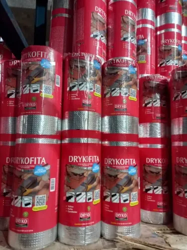 Manta Adesiva (drykofita)