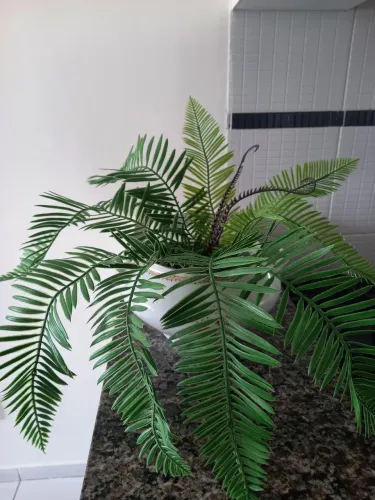 Cesto mais planta permanente 40 reias cada