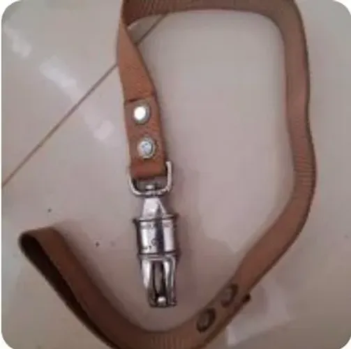 Guia reforçada para cachorro de grande porte