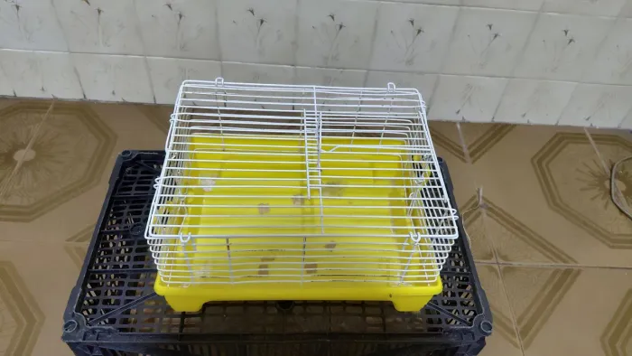 Gaiola casinha hamster