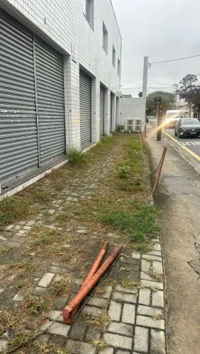 Jardineiro