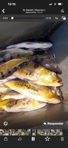 Recanto bela vista alugo por temporada 