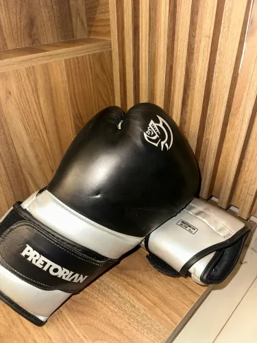 Luva Muaythai/box 