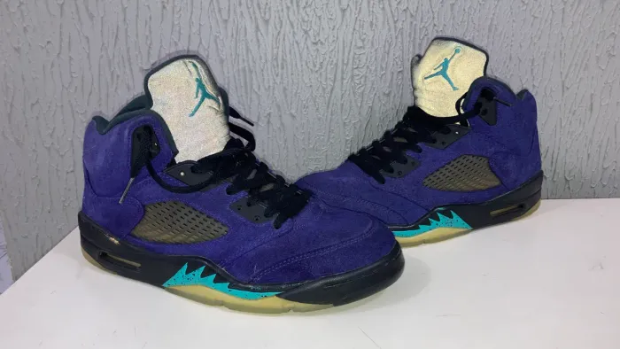 Air Jordan 5 Purple Grape