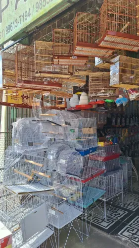 Gaiolas 