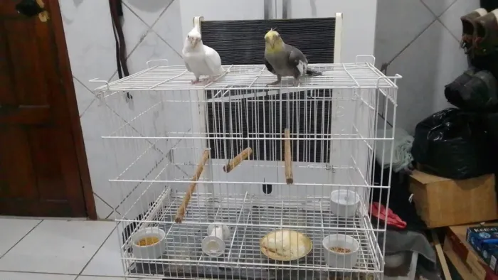 4 Gaiolas brancas