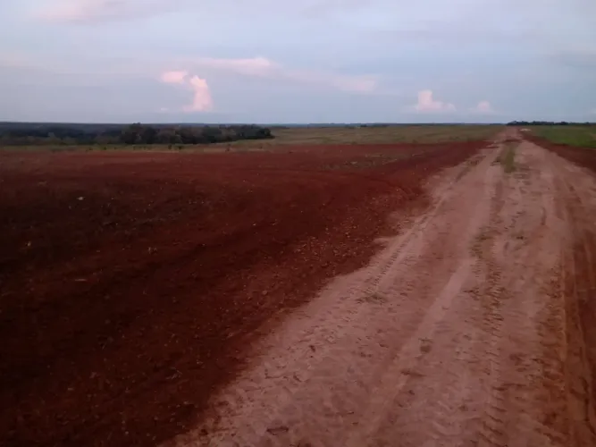 Fazenda a venda em - Goiatins - Tocantins