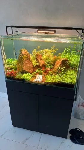 Aquário 160 litros