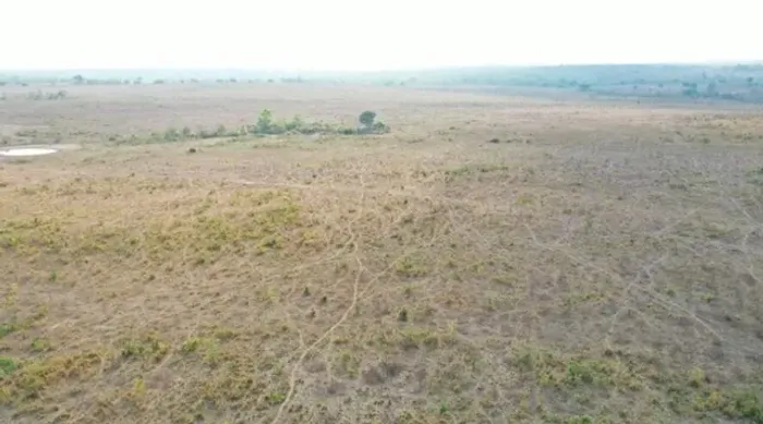 Fazenda de 28.458 ha em Conceição-TO