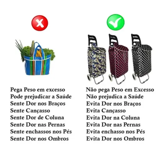 Carrinho Carro Sacola Para Feira Bd-231 82x32x46cm