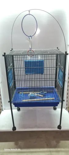 Viveiro triplex calopsita